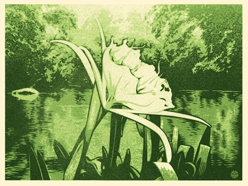 Spider Lily by Shepard Fairey