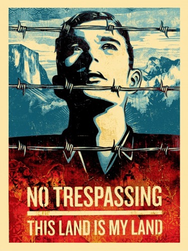This Land Is Your Land by Shepard Fairey