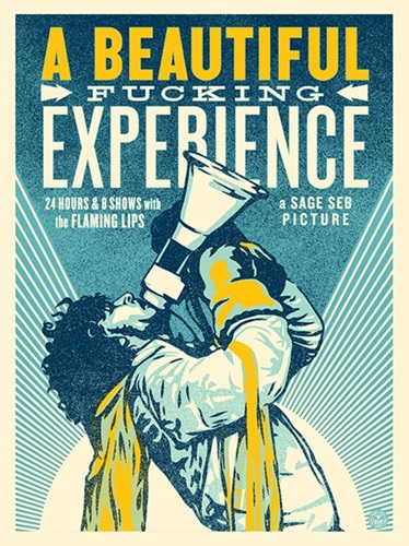 A Beautiful Fucking Experience by Shepard Fairey