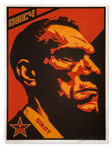 Big Brother Profile by Shepard Fairey
