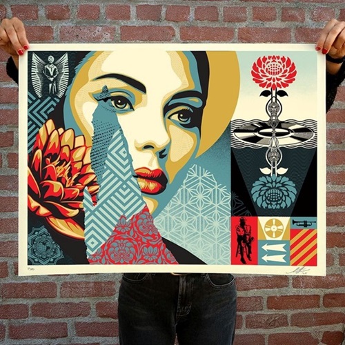 Harmonious Elements by Shepard Fairey