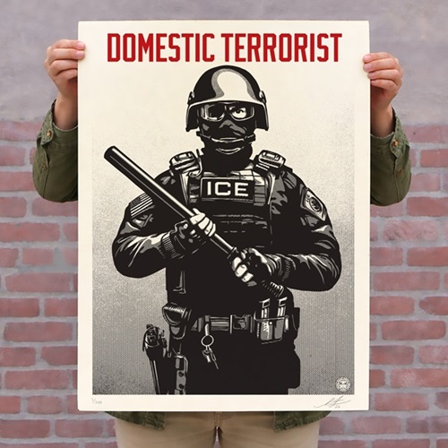 Projection MIrror: Domestic Terrorist by Shepard Fairey